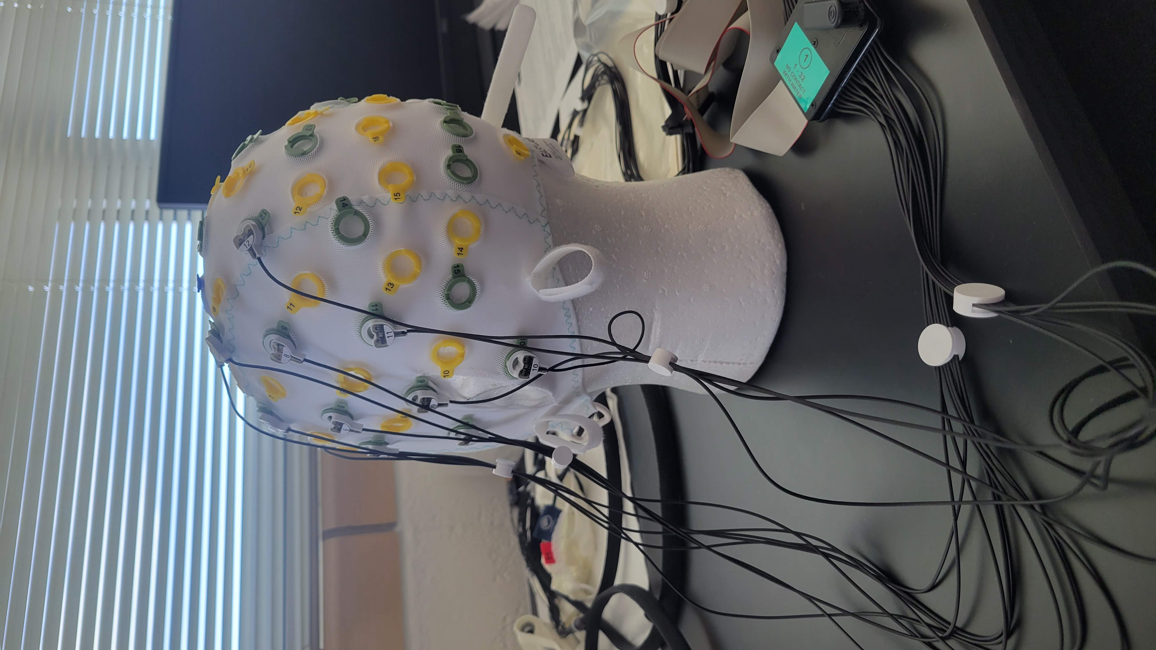 Picture of an EEG cap being set up