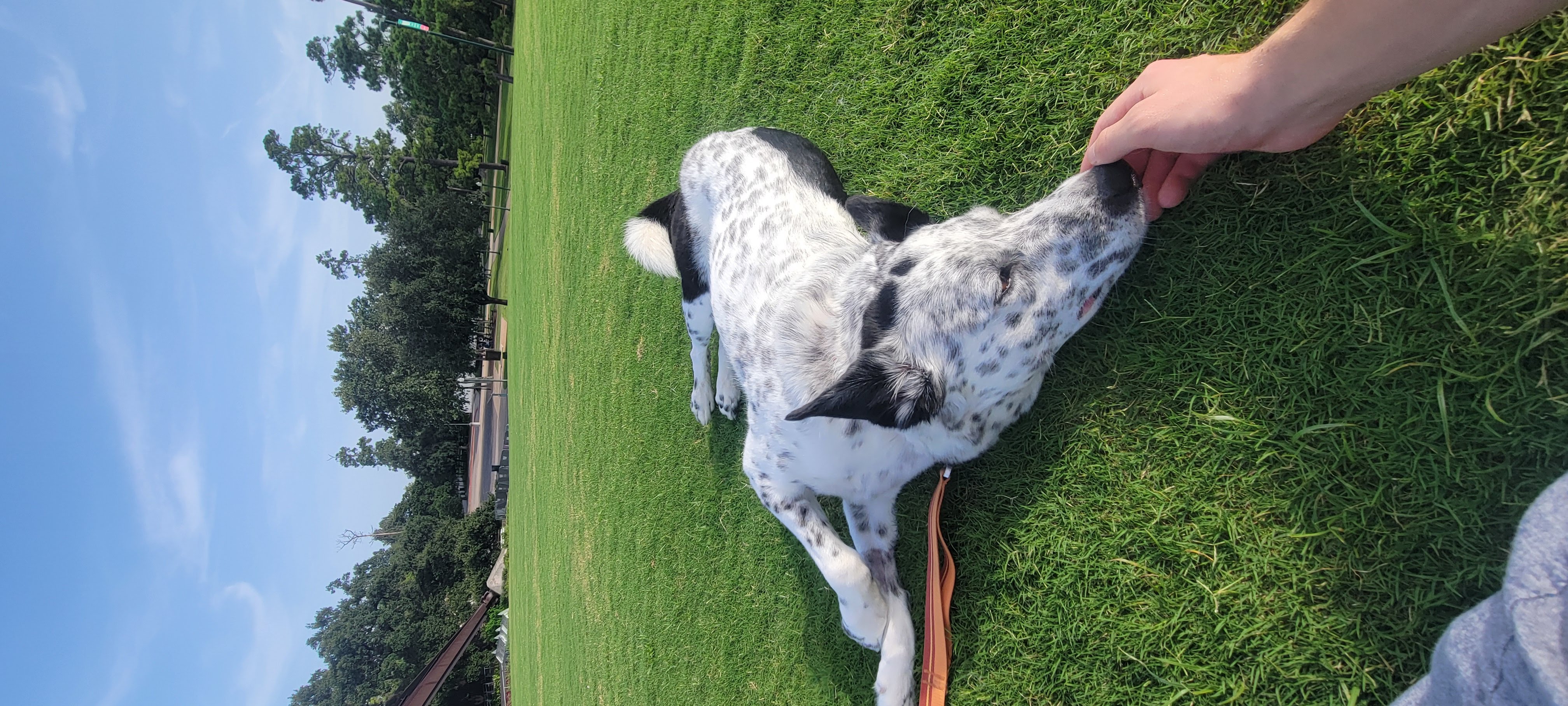 Phillip chillin' at a park